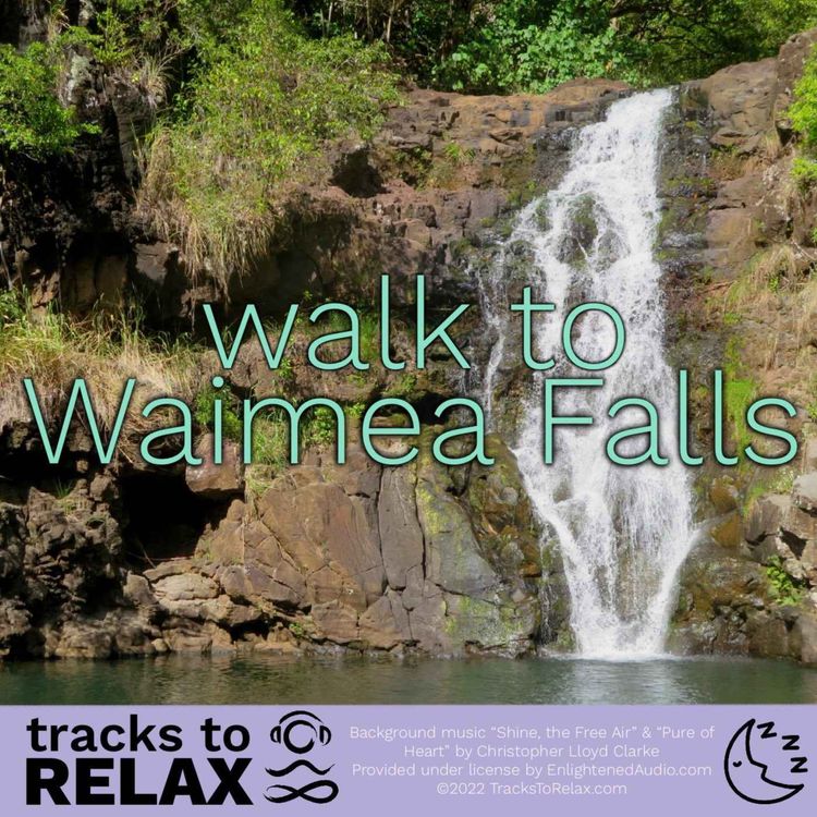 cover art for Waimea Falls Experience Hawaii - Bedtime Sleep Meditation