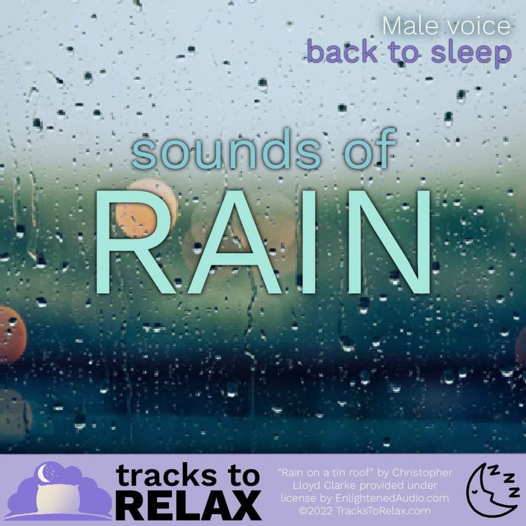 cover art for Get Back To Sleep - Sounds Of Rain