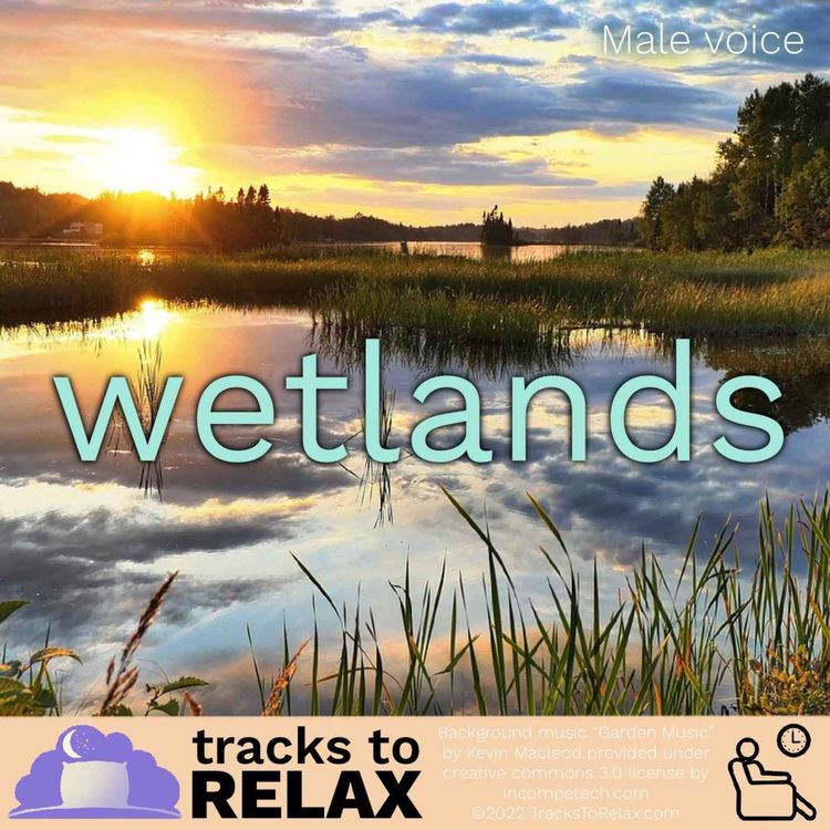 cover art for Wetlands Serenade - A Guided Nap Meditation