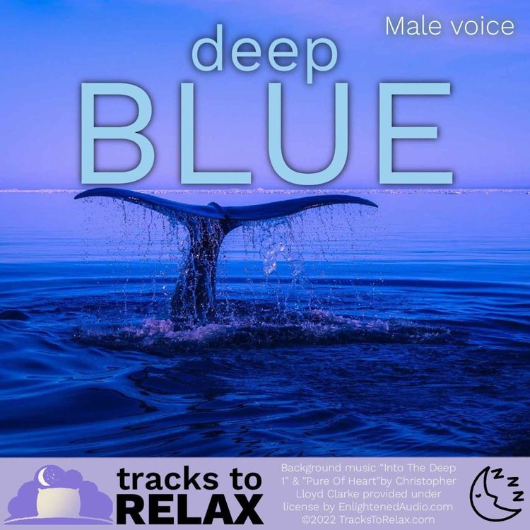 cover art for Deep Blue - A Sleep Meditation with Whale Song 