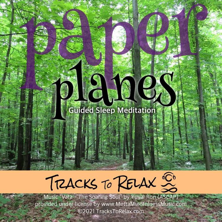 cover art for Paper Planes Sleep Meditation