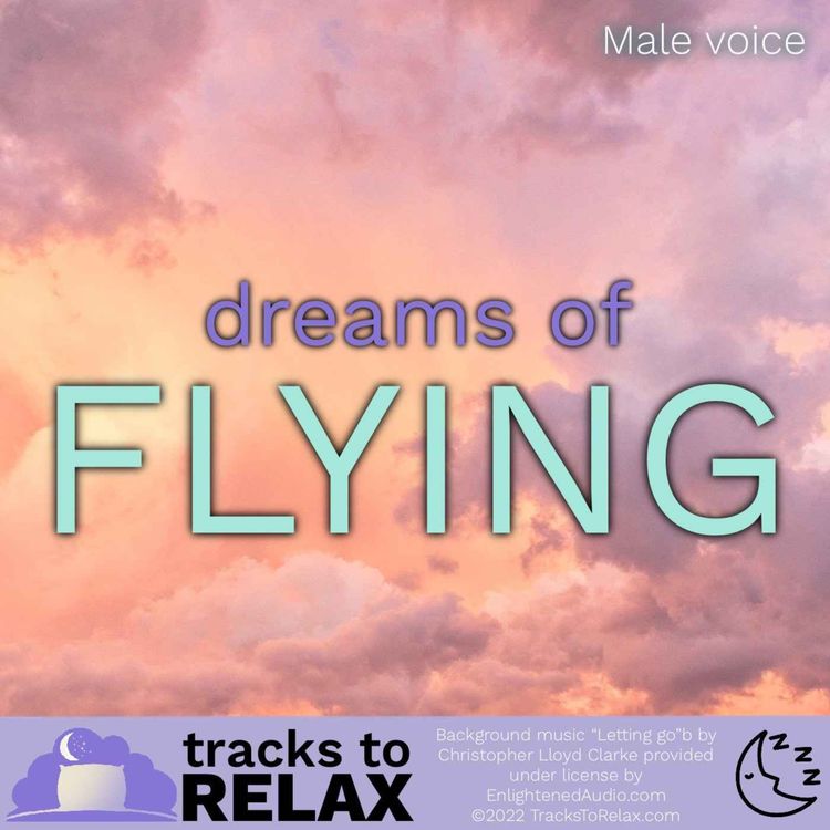 cover art for Dreams Of Flying - A Guided Sleep Meditation