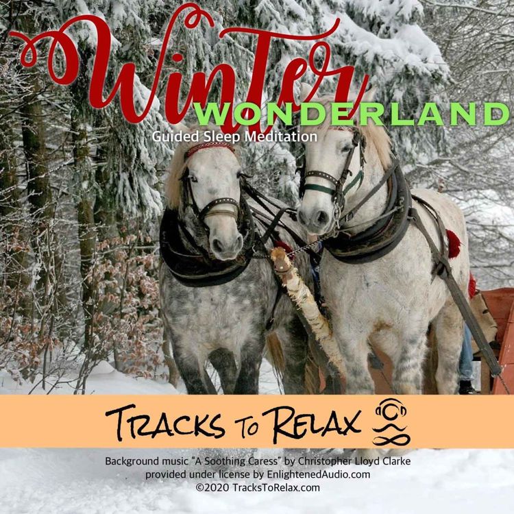 cover art for Winter Wonderland Sleep Meditation