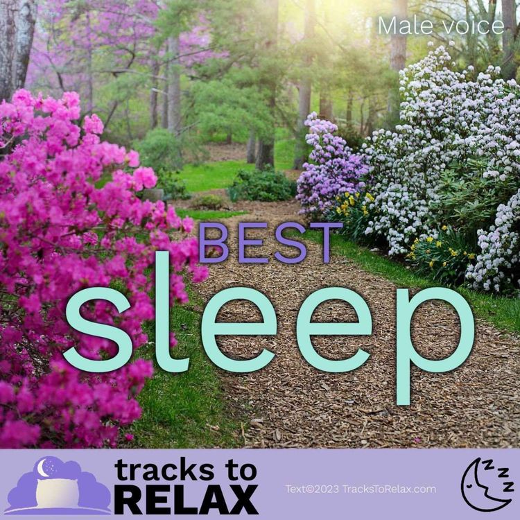 cover art for Best Sleep - Garden Walk Meditation