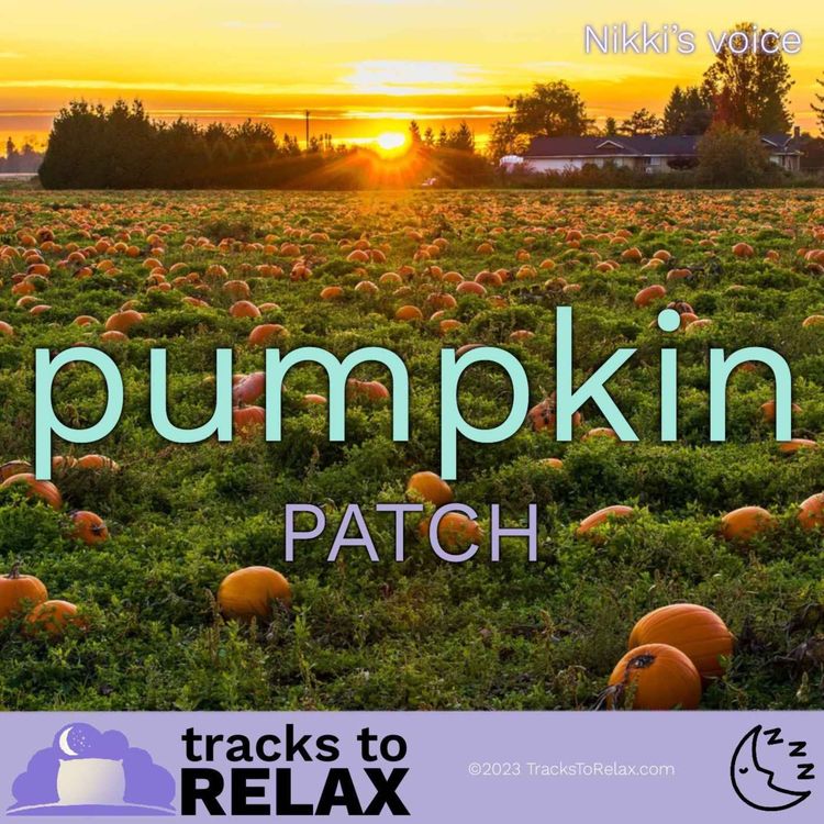 cover art for The Pumpkin Patch Sleep Meditation