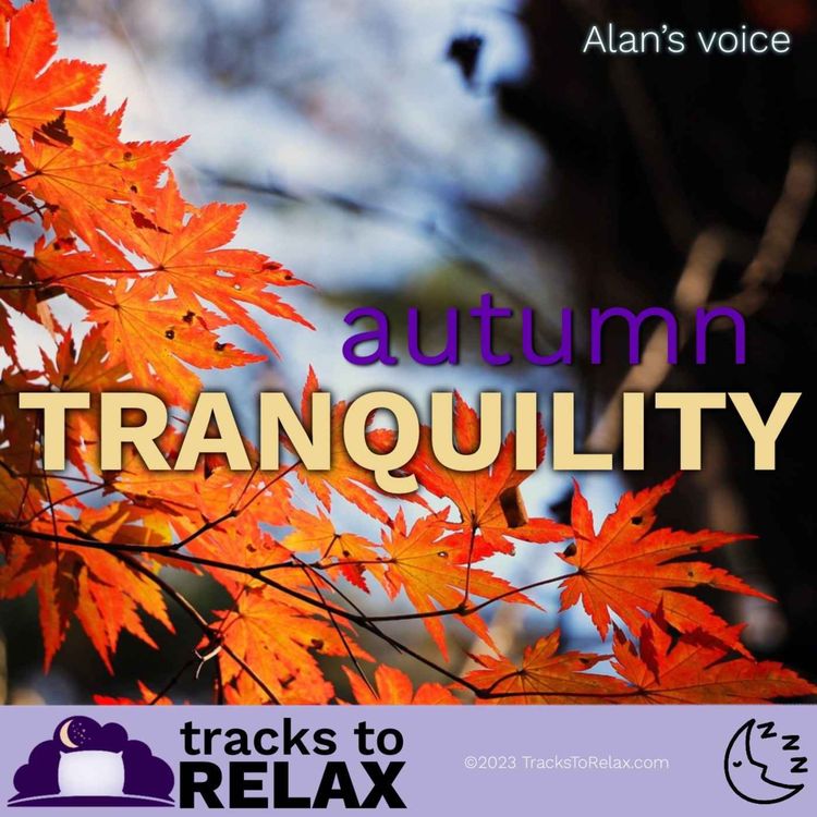 cover art for Autumn Tranquility Sleep Meditation