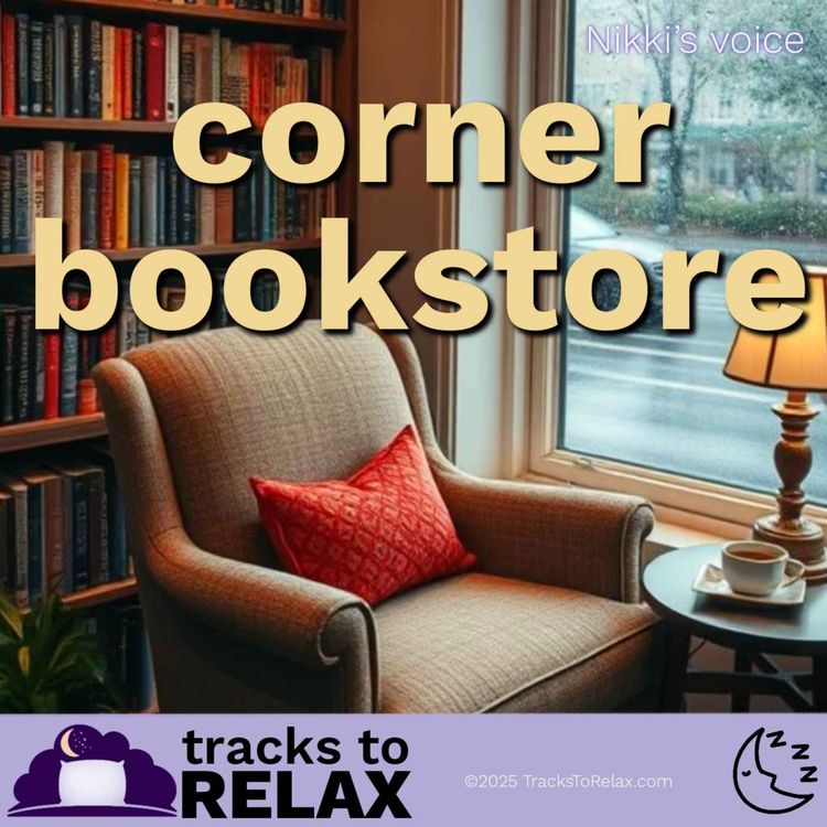 cover art for The Corner Bookstore Bedtime Story