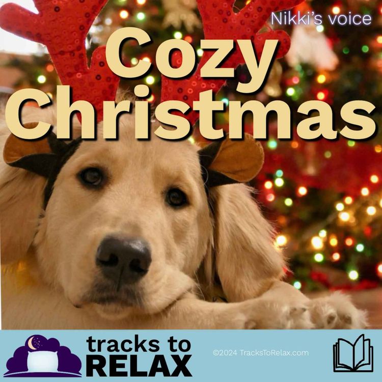 cover art for Cozy Christmas Bedtime Story