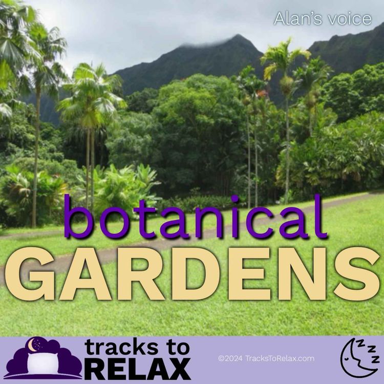 cover art for Botanical Garden Bedtime Meditation