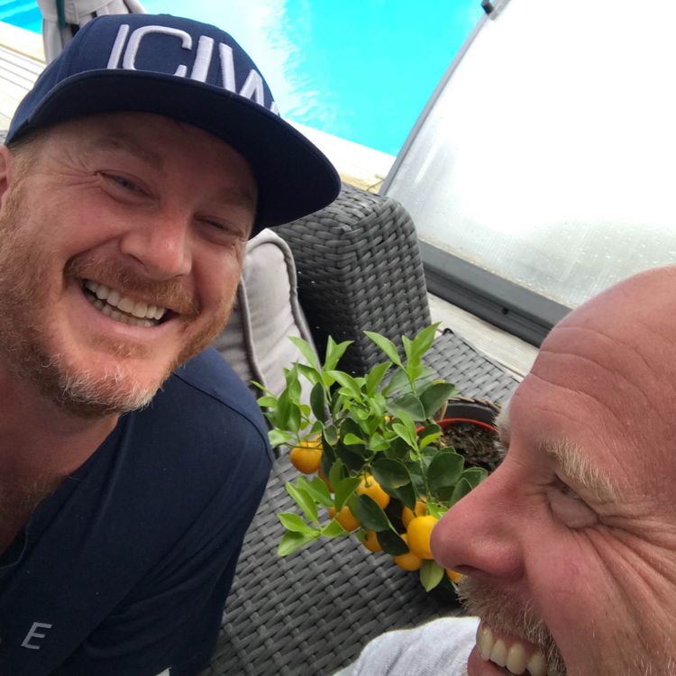 cover art for Sökhistorik