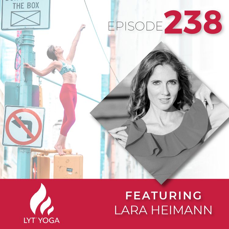 cover art for 238 | Becoming Antifragile