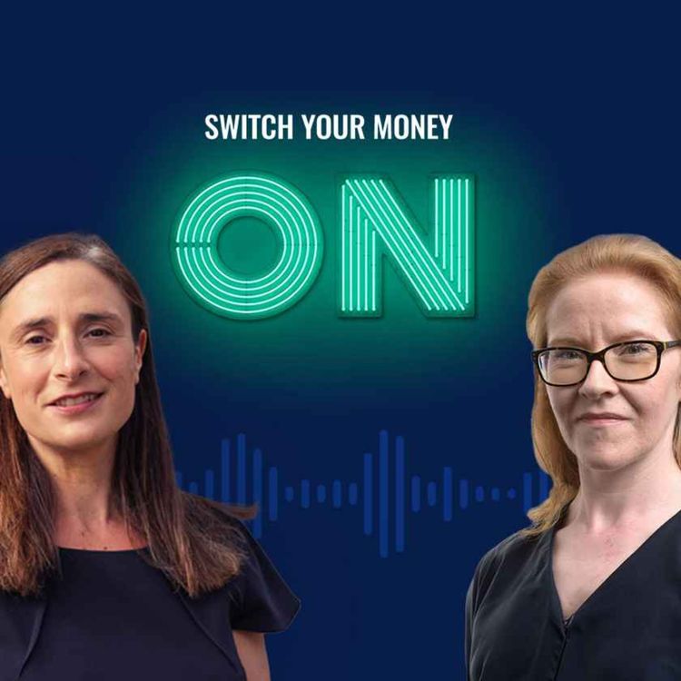 cover art for Why are stock markets rising while investor confidence is falling?