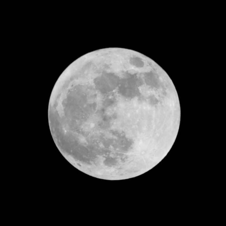 cover art for Investigación y exploración urbana_Escuela Anexa_Saltillo Coahuila