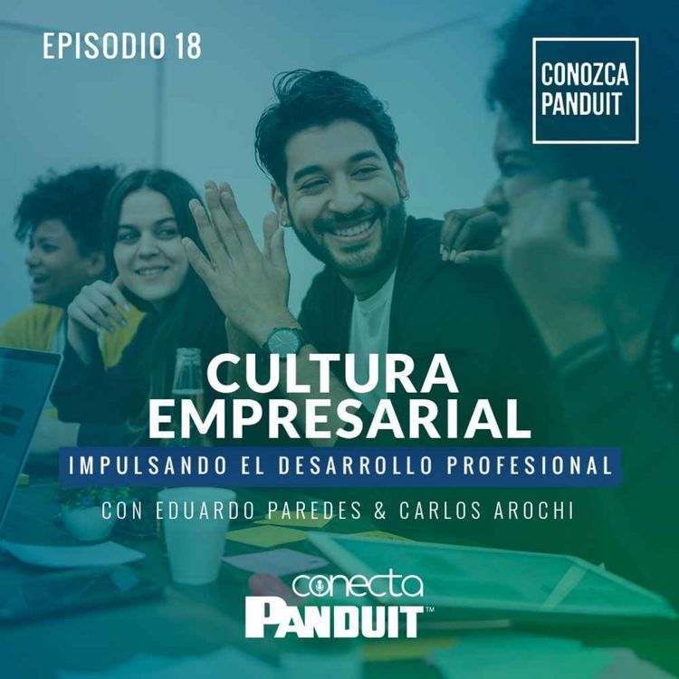 cover art for Episodio 18 - Cultura Empresarial