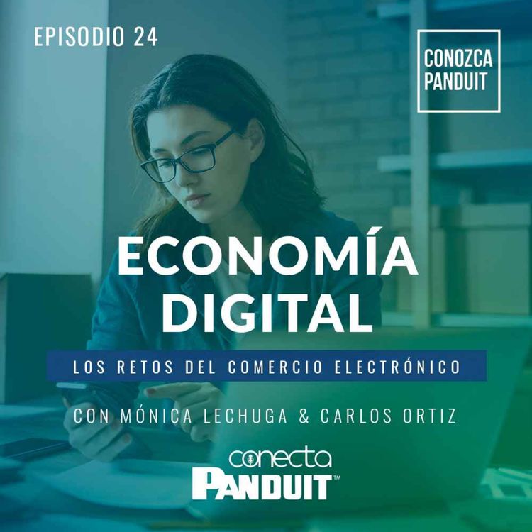 cover art for Episodio 24 - Economía Digital