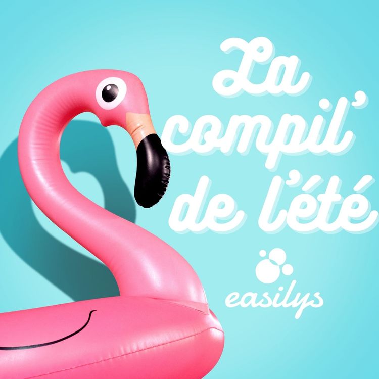 cover art for Rencontre avec Wild and the Moon