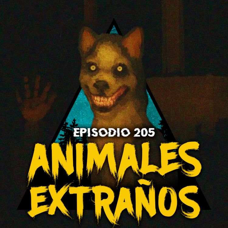 cover art for #205: Historias de ANIMALES Comportándose Como HUMANOS