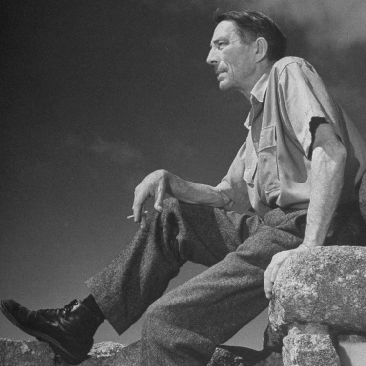 cover art for “The Purse-Seine” by Robinson Jeffers