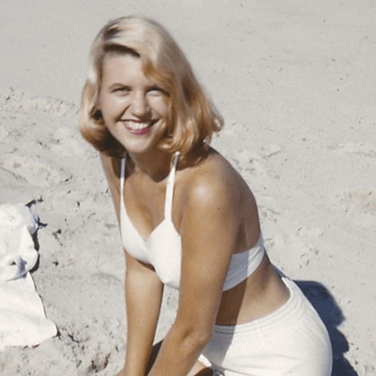 cover art for “A Birthday Present” by Sylvia Plath