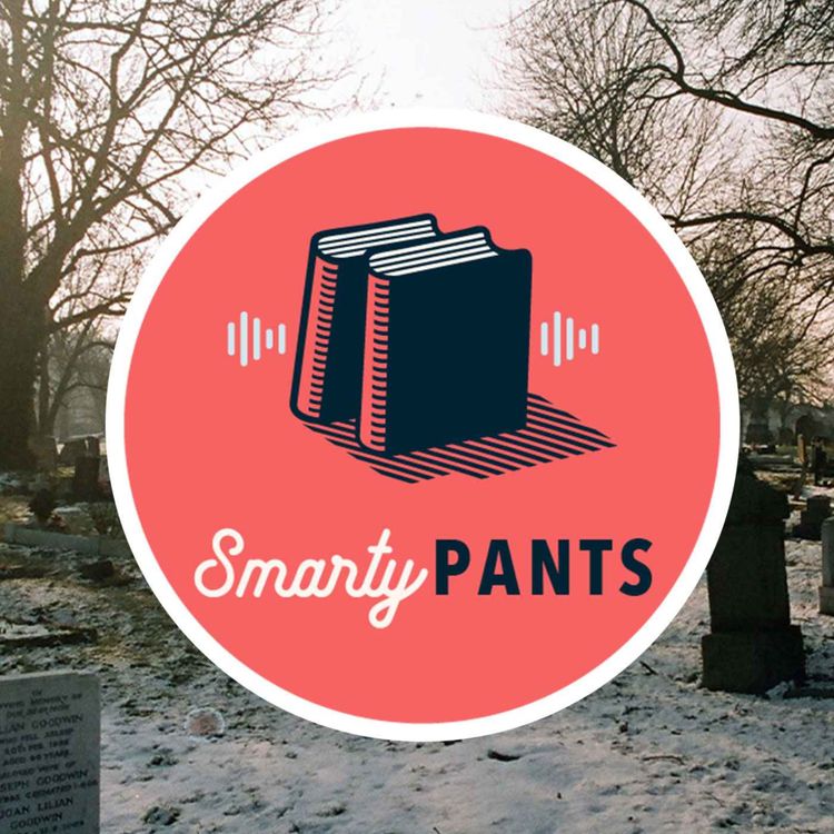 cover art for #220: Normalized Abortion