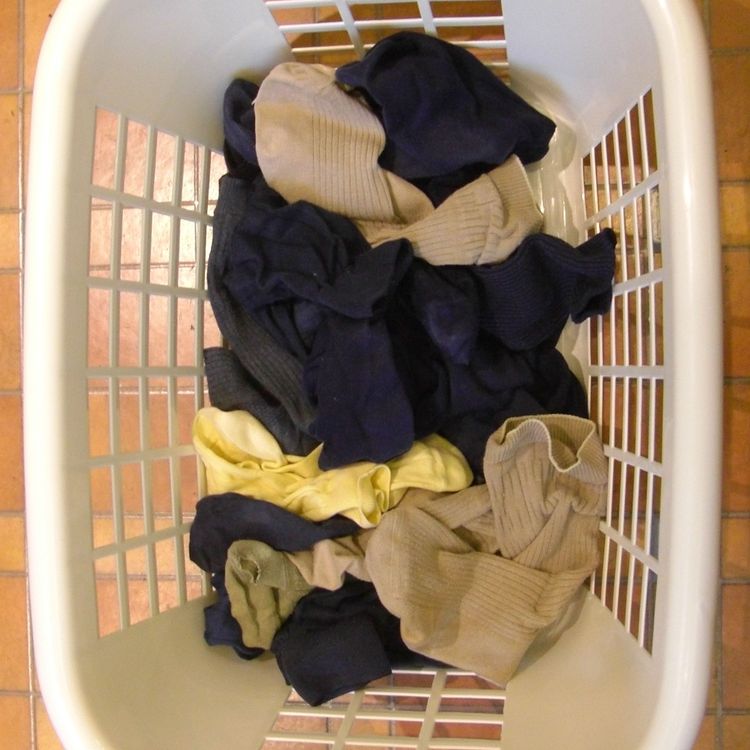 cover art for Episode 29: Unstink It!