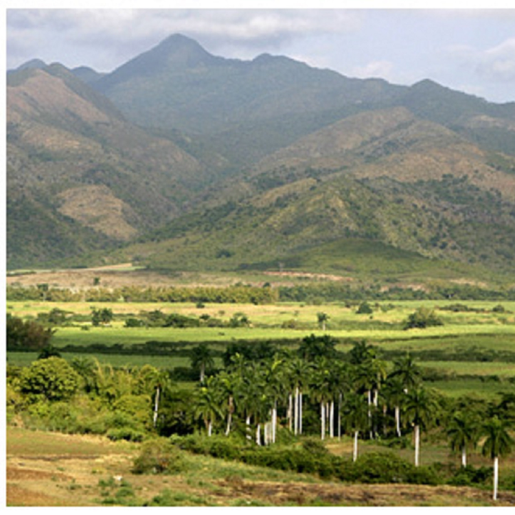 cover art for 1.13 - The Small Things of War