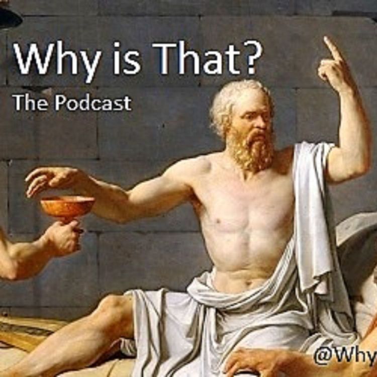 cover art for St. Patrick's Day - Why Is That Podcast