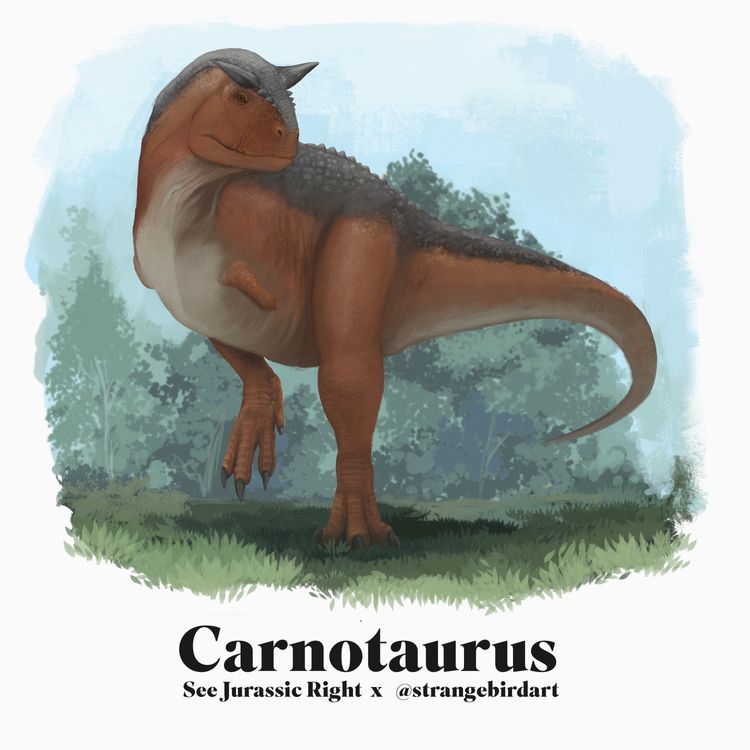 cover art for Carnotaurus (Jurassic June 2024 with Andrea Ciofalo aka @Strangebirdart!)
