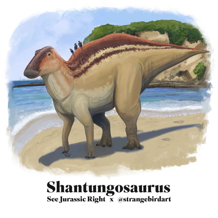 cover art for Shantungosaurus (Jurassic June 2024 with Andrea Ciofalo aka @Strangebirdart!)
