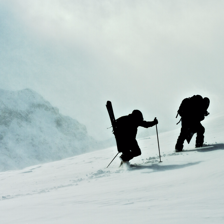 cover art for Re:sound #245 The Determination Show