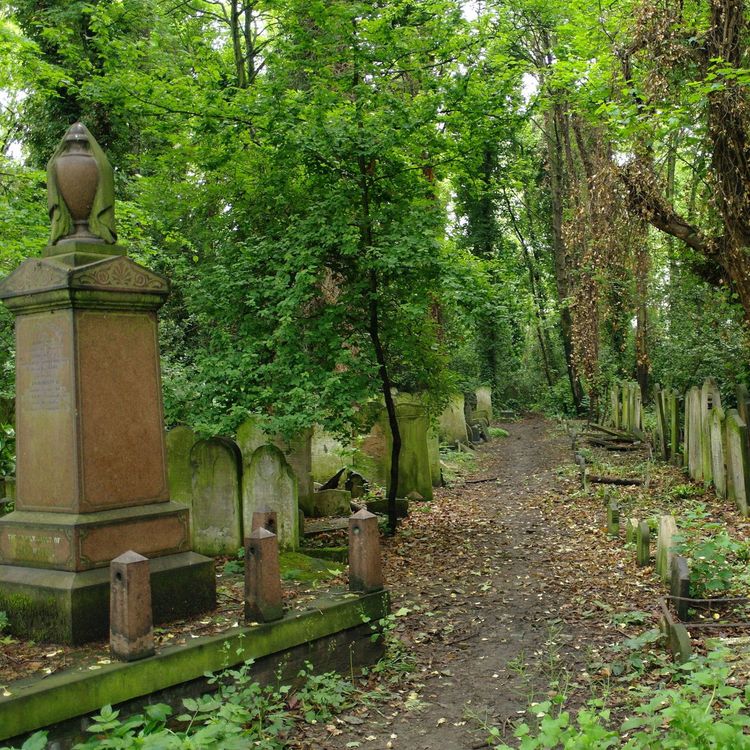 cover art for Re:sound #228 The Sonic Wanders Show