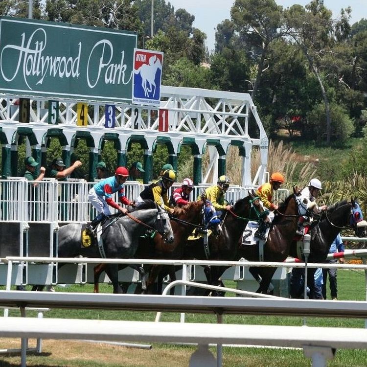 cover art for Special Feature: The Last Days of Hollywood Park