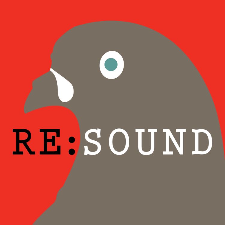 cover art for Re:sound #45 The Nosce te Ipsum Show