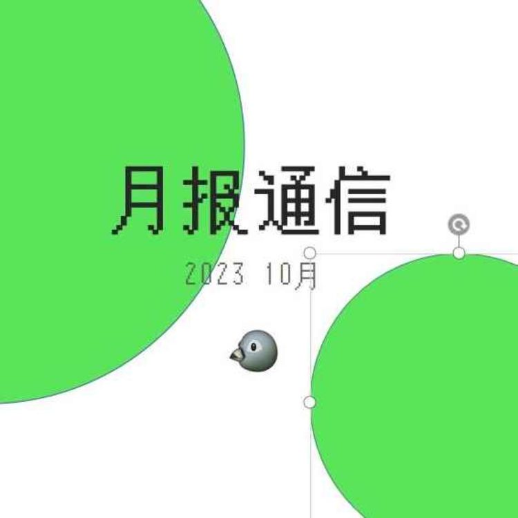 cover art for 【月报通信10月】离见之见、挂盒乐队、noctalgia、“鸟不是真的”与《床,沙发,我的人生》