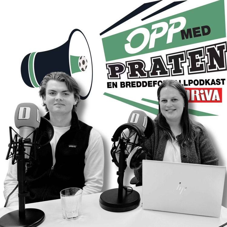 cover art for Skademareritt, comeback og nedrykk