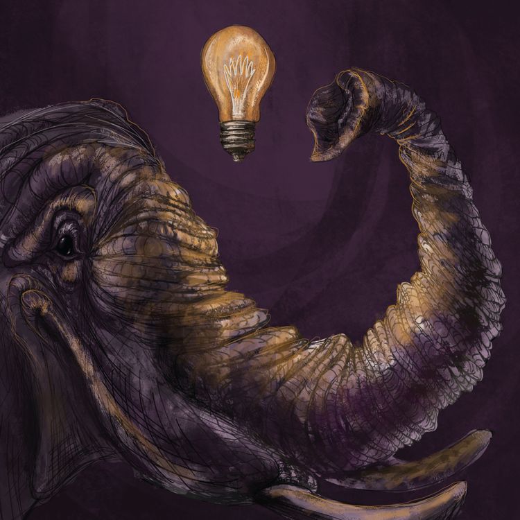 cover art for Artist's Guide to Creating Long-Term Wealth (Investing, Crypto & NFTs) - #025