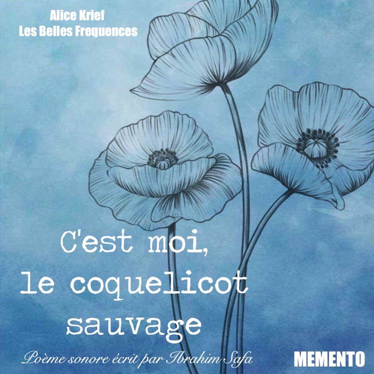cover art for [POEME SONORE ] AFGHANISTAN - C'est moi le coquelicot sauvage, Ibrahim Safa 