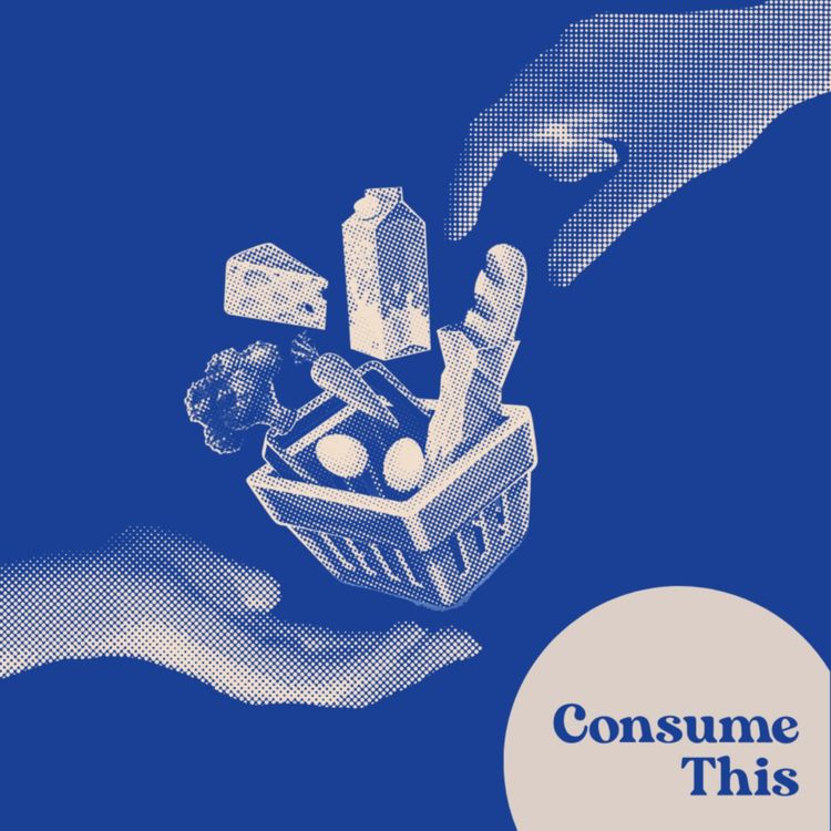 cover art for The Not-So-Supermarkets