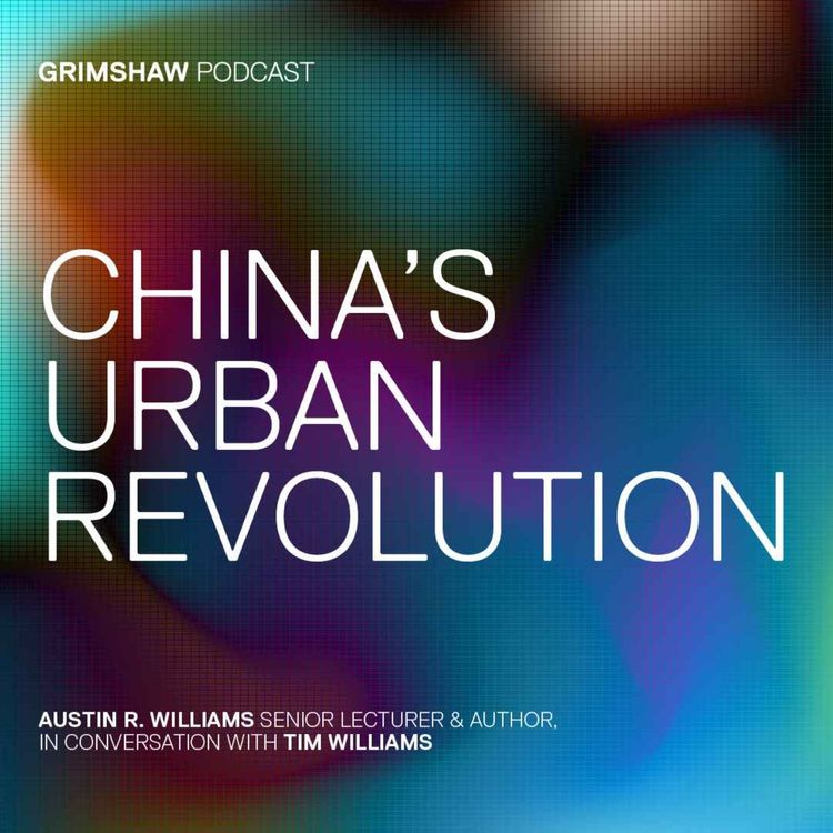cover art for CHINA'S URBAN REVOLUTION