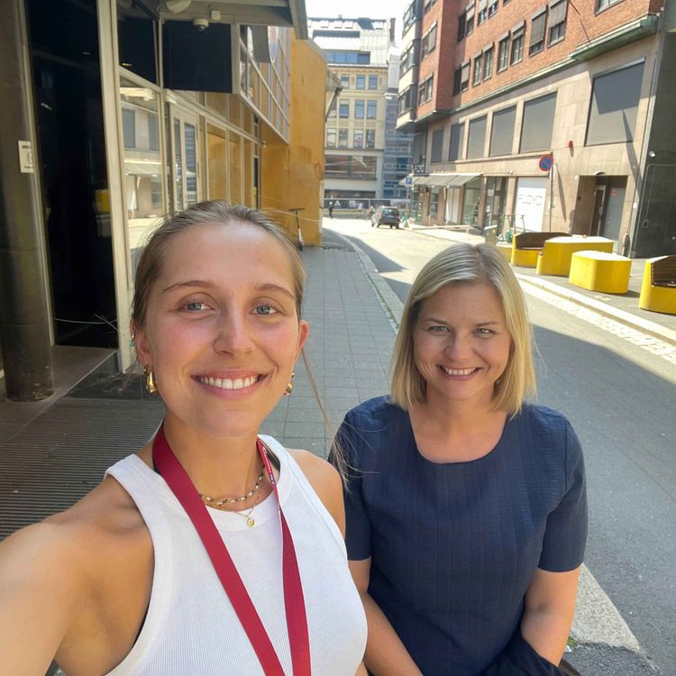 cover art for 9. Venstre med Guri Melby