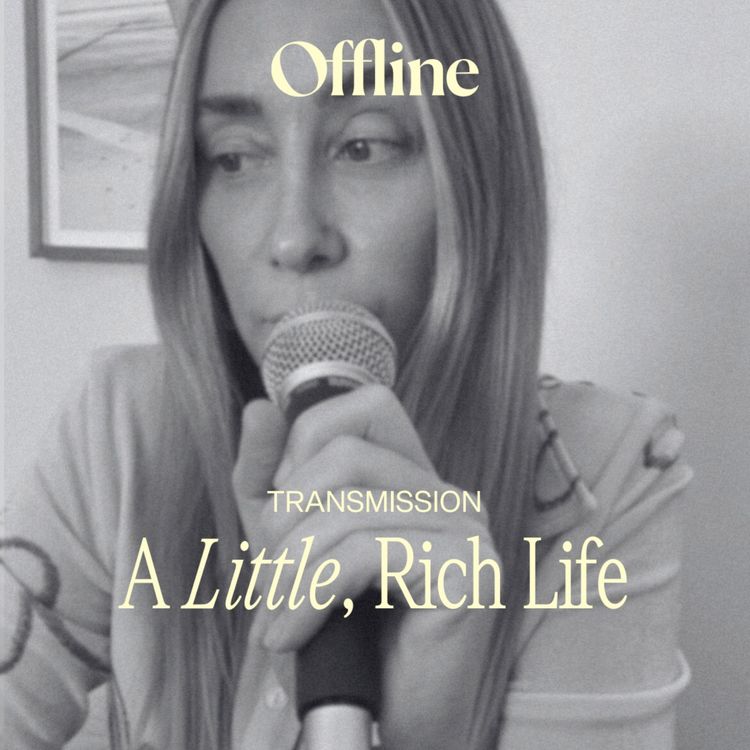 cover art for A Little, Rich Life.