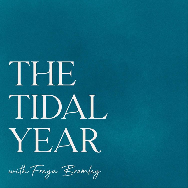 cover art for BONUS EPISODE! The Tidal Year Audiobook Preview