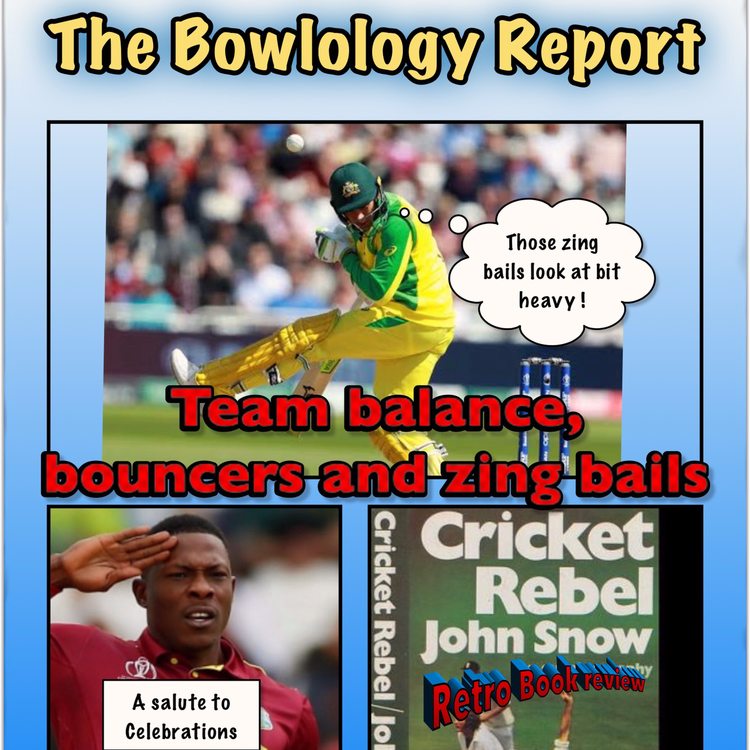 cover art for World Cup 2019- A salute to  Team Balance, Bouncers and Zing Bails