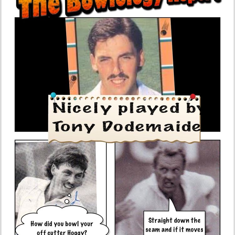 cover art for Nicely played by Tony Dodemaide