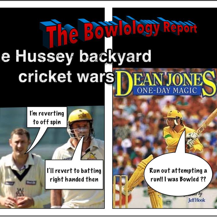 cover art for The Hussey Backyard Cricket Wars