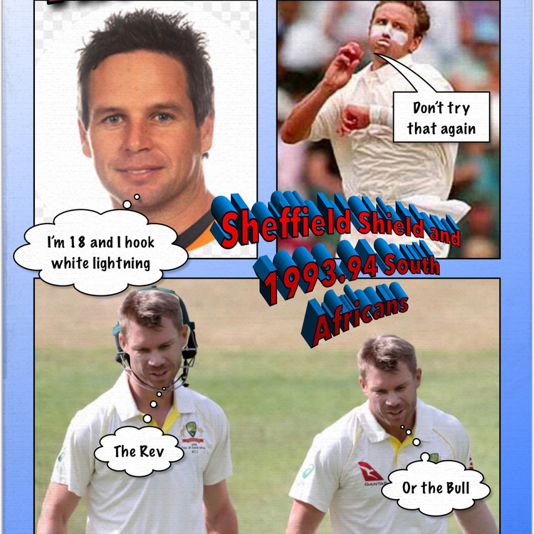 cover art for Playing the 1993/94 South African team and the Sheffield Shield