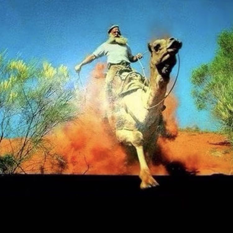cover art for 395 - The Great Australian Camel Race