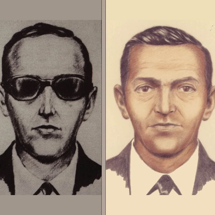 cover art for 22 - The Mystery of D.B. Cooper...