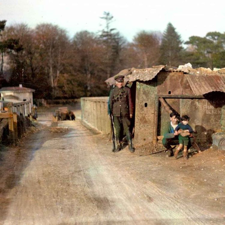 cover art for S2 EP08 – The Limerick Line, Rochestown & Griffith's Last Days