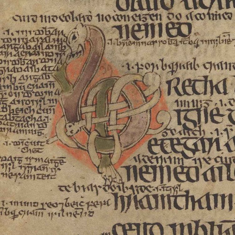 cover art for S3 EP15 — The Fines That Made Brehon Law Tick